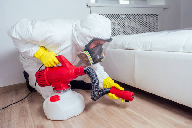 Best Fumigation Services  in Home Gardens, CA